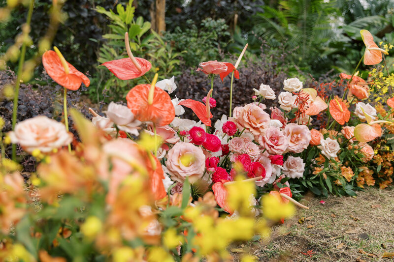 B&CWedding-499