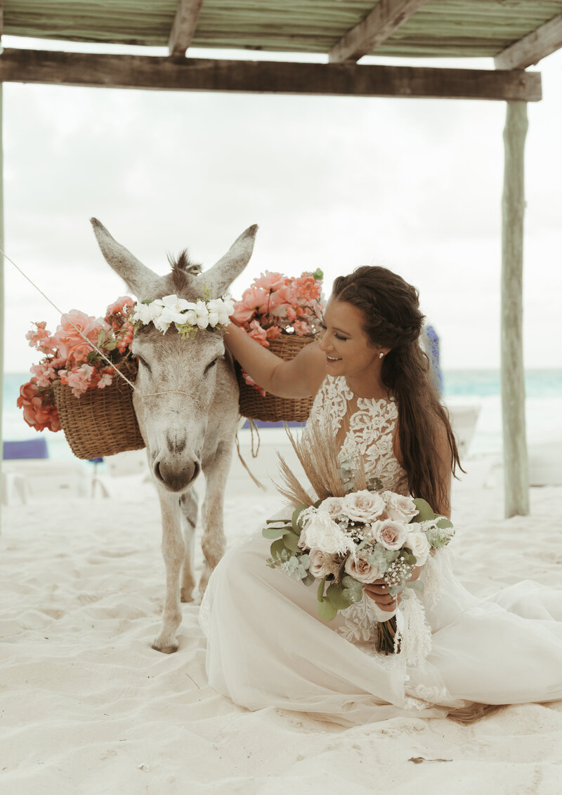 bride with donkey in destination wedding