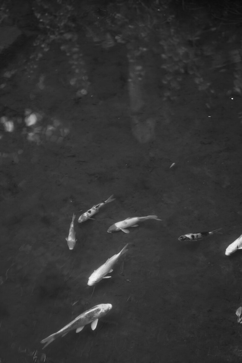 seoul-hanok-wedding-Previews-lorryn-smit_0048-Copy1