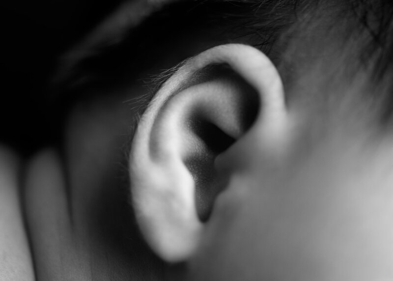 Nebworn ear details with little hairs syracuse ny studio