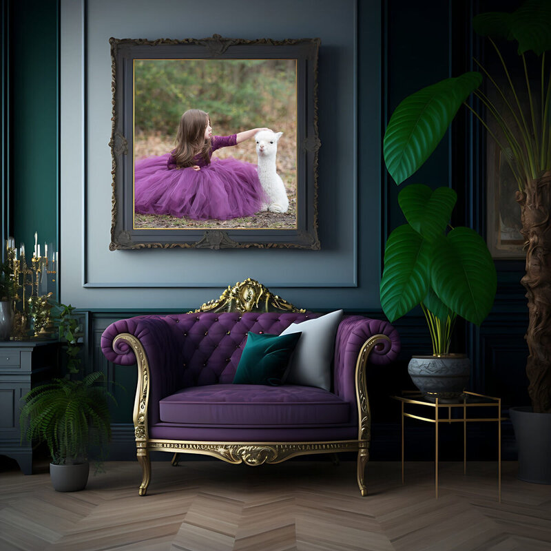 girl-in-purple-dress-petting-baby-alpaca-sitting-at-park-in-arlington-tx