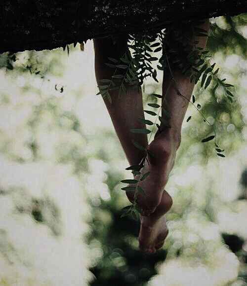 pieds-nature