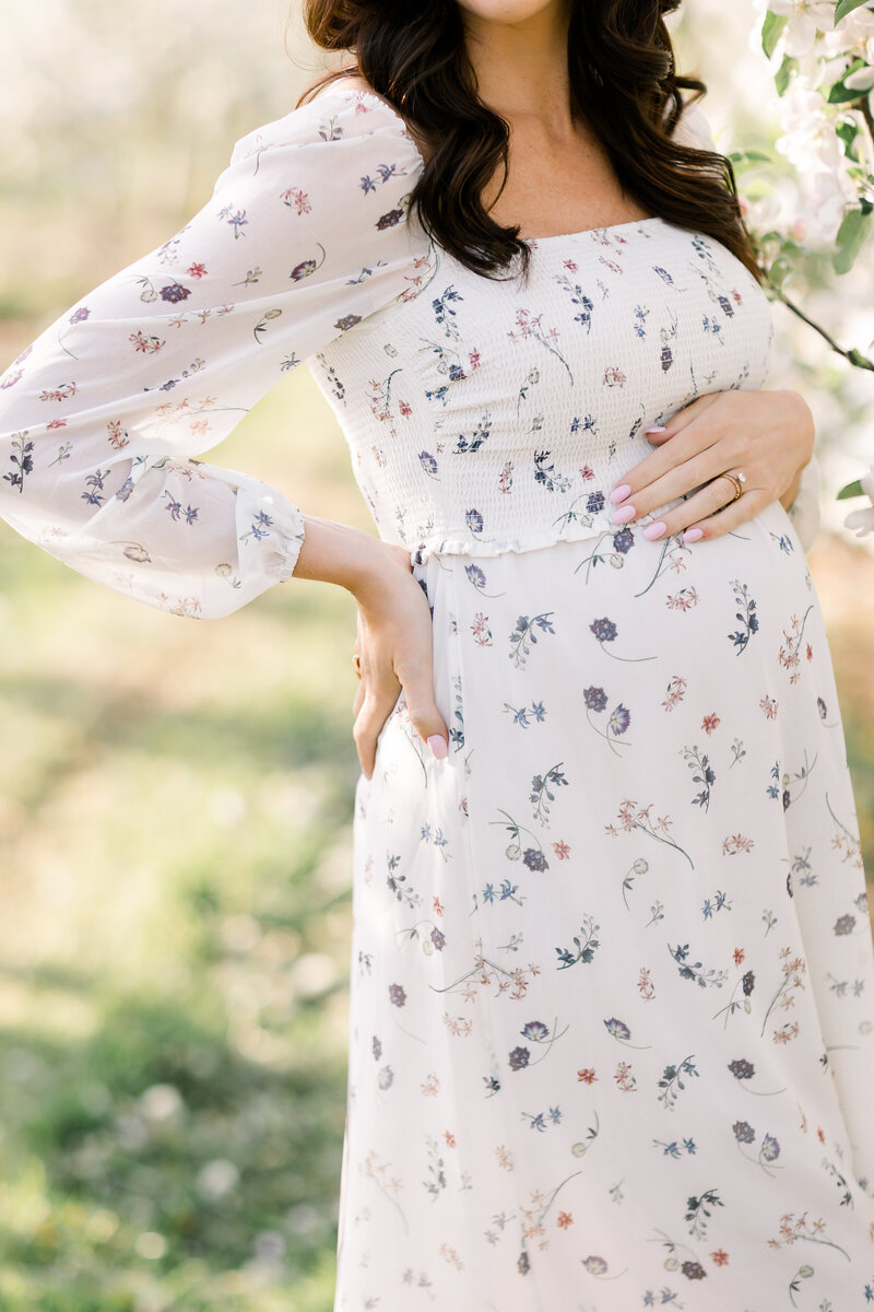 Terri-Lynn Warren Photography - Halifax Maternity Newborn Photographer Apple Blossoms-5140