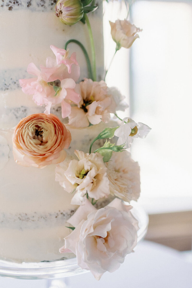 Ellen&amp;Brian_TroyMeiklePhoto_245