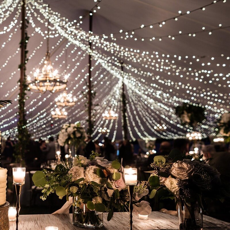 twinkleLights5Square