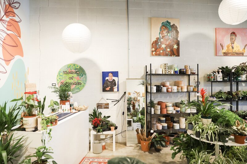 Alabama based House Plant retail store