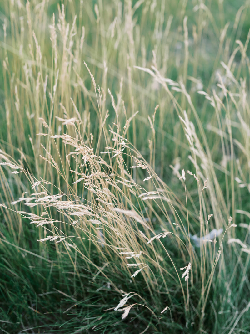 RTFaith-Portland-Wedding Photographer-187