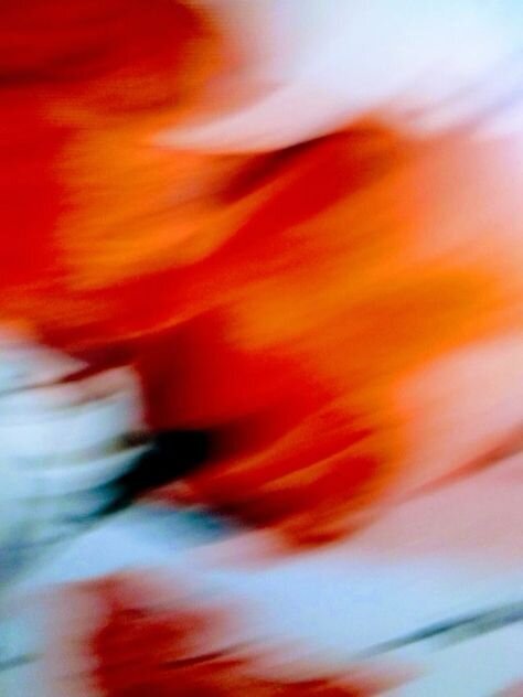 4174c510d0b4aa9498045c25ff33b296