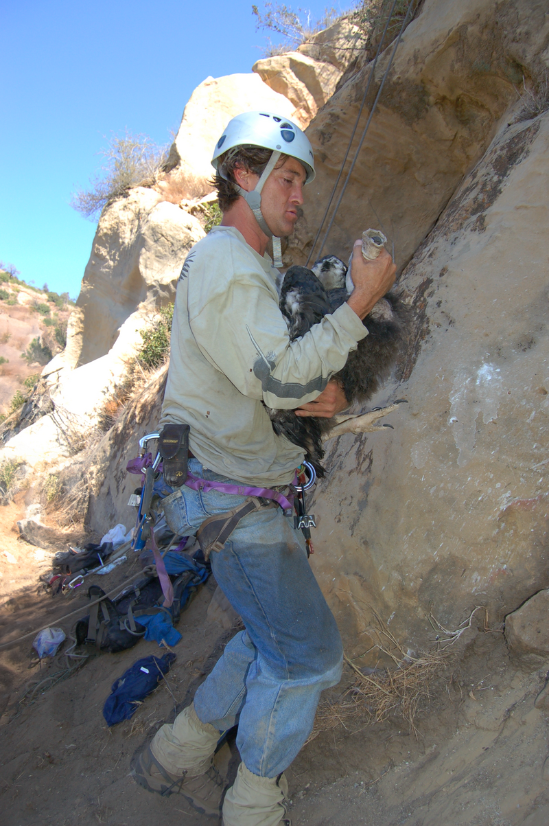 Michael-Clark-CA-Condor-Alliance-03