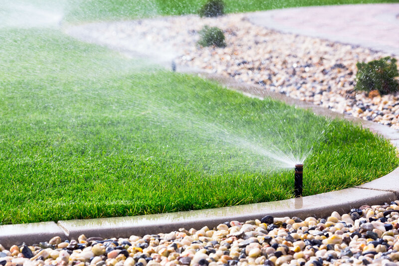 Expertly installed irrigation system, ensuring efficient water usage and lush greenery even in the heat of Texas summers and unpredictable climate conditions.