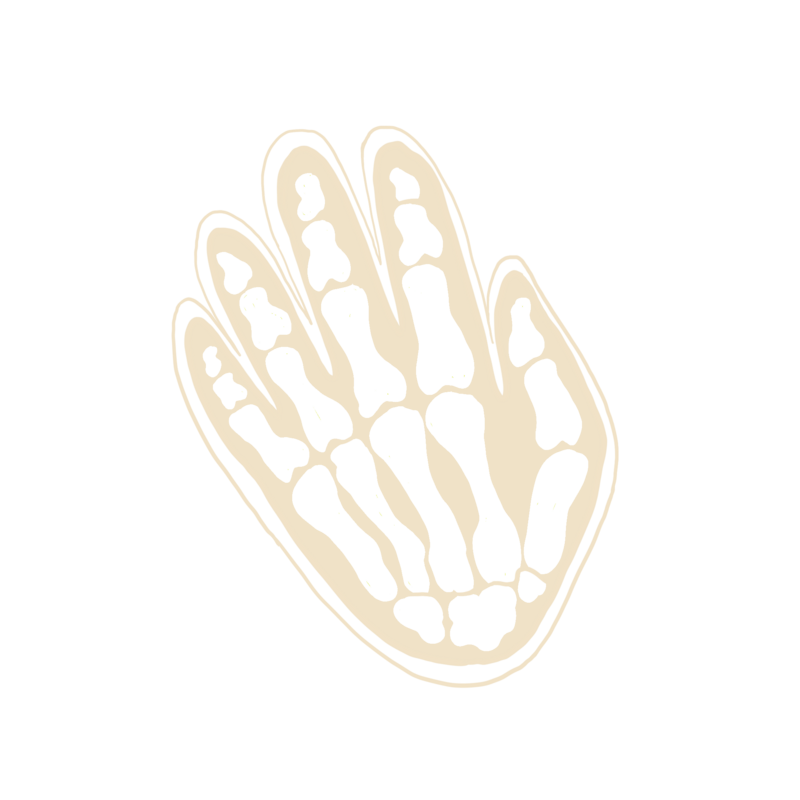 tan illustration of a skeletal hand