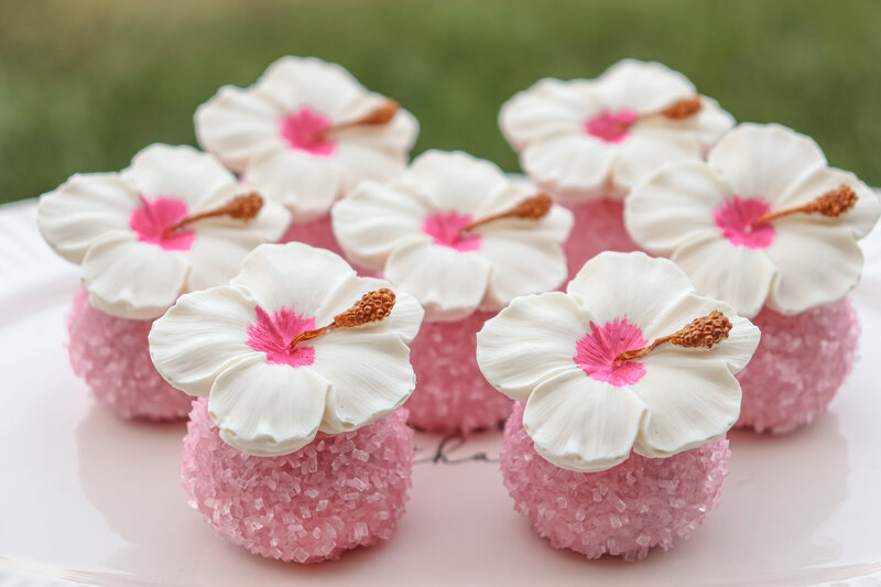 bakery - cakes - cake pops -north dakota -298