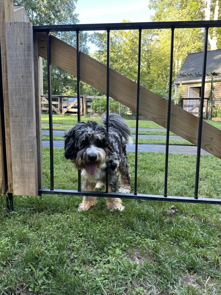 857A782C-A768-411B-AAEC-1C2D64EF743A_1_105_c