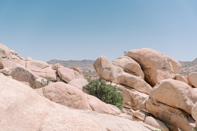 joshua tree vacation rental photographer