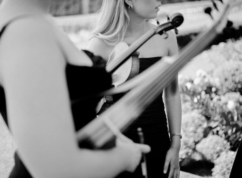 ADORN STRINGS - MARCH 2025-139