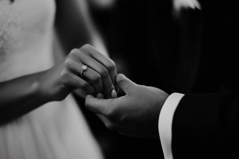 Noir-Et-Noir-Photo-104