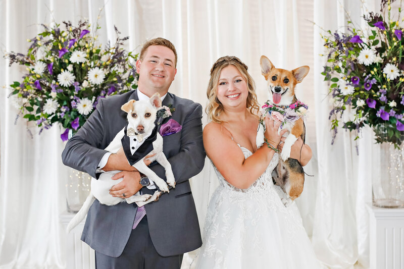 MT-Wedding-Dog-Photographer-011