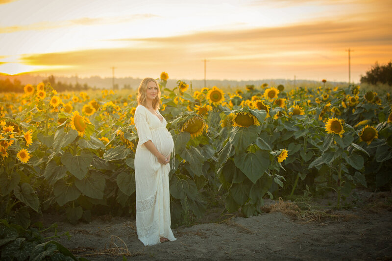 Maternity Photos in golden lit sunflower field in Seattle