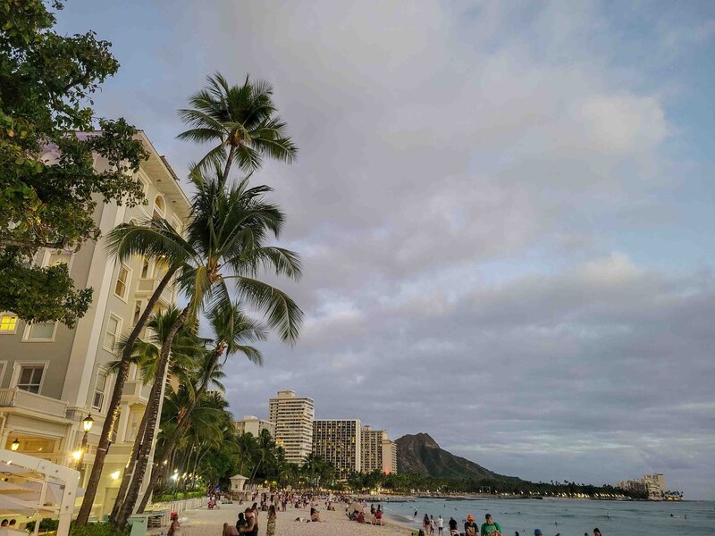 Tall palm trees lining Waikiki Beach at dusk, with the silhouette of Diamond Head in the background in Honolulu ©Stephanie Dosch | theViatrix Hawaii Private Luxury Travel