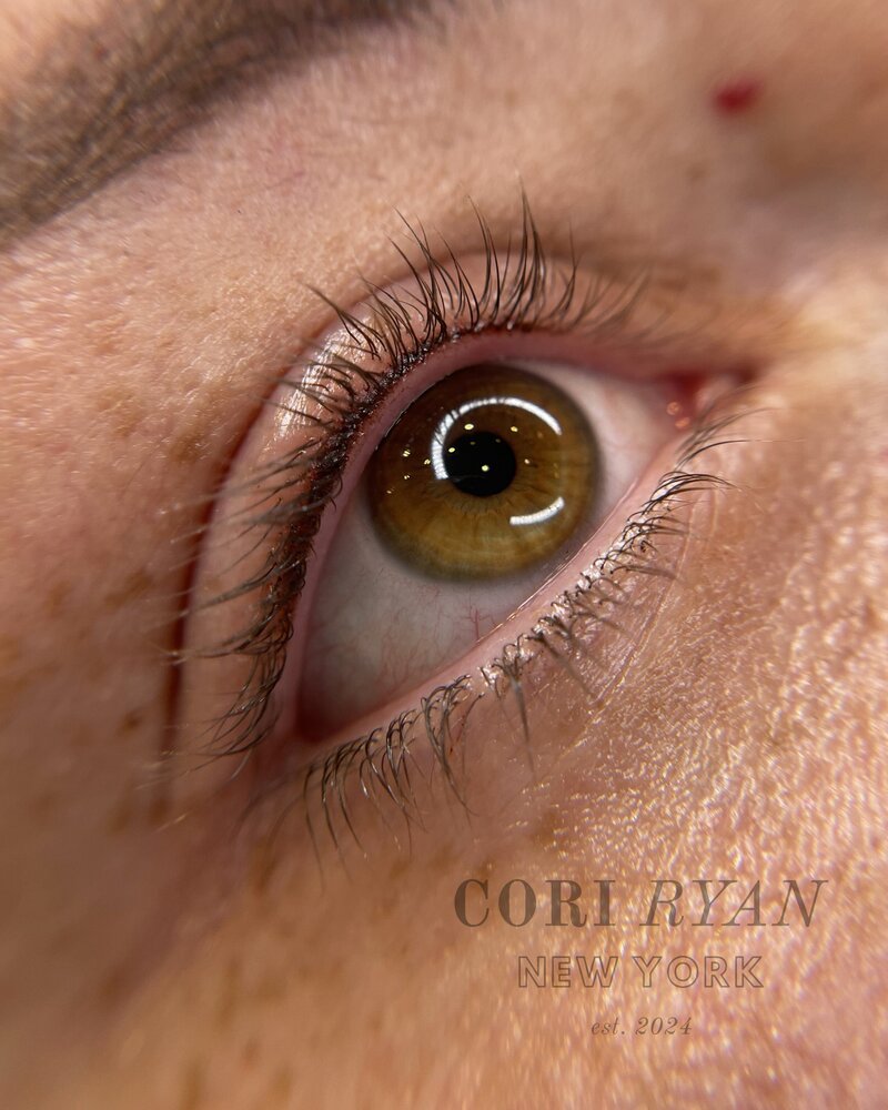 lash line enhancement queens