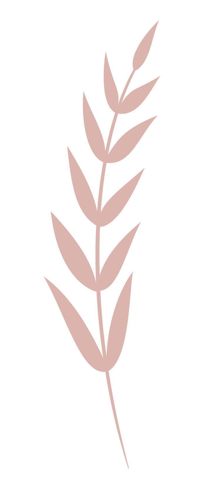 Pink Leaf Logo