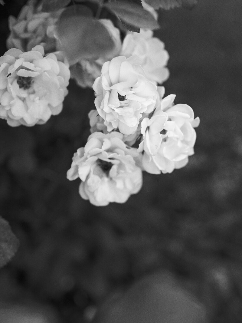 DSC09983-Edit