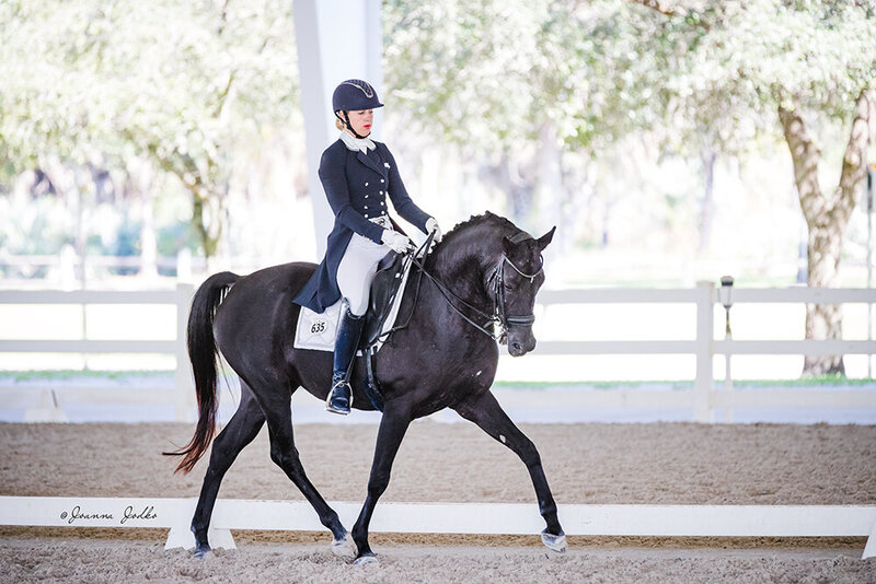 best online dressage training with free educational content for riders