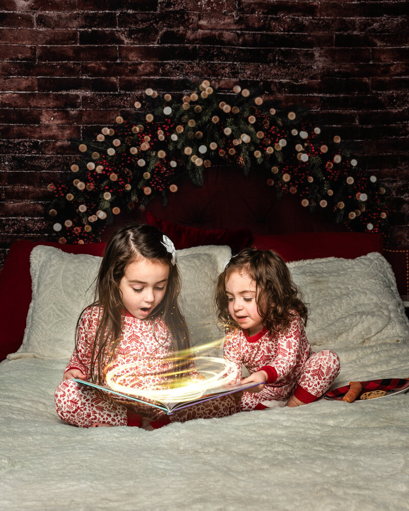 Asheville christmas photographer Flaming lily studios-2-2