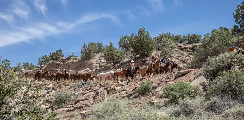 Silver spur ranch in New Mexico