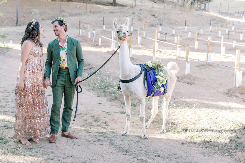 napa county wedding, calistoga california, bay area wedding, marin county wedding, wine country wedding