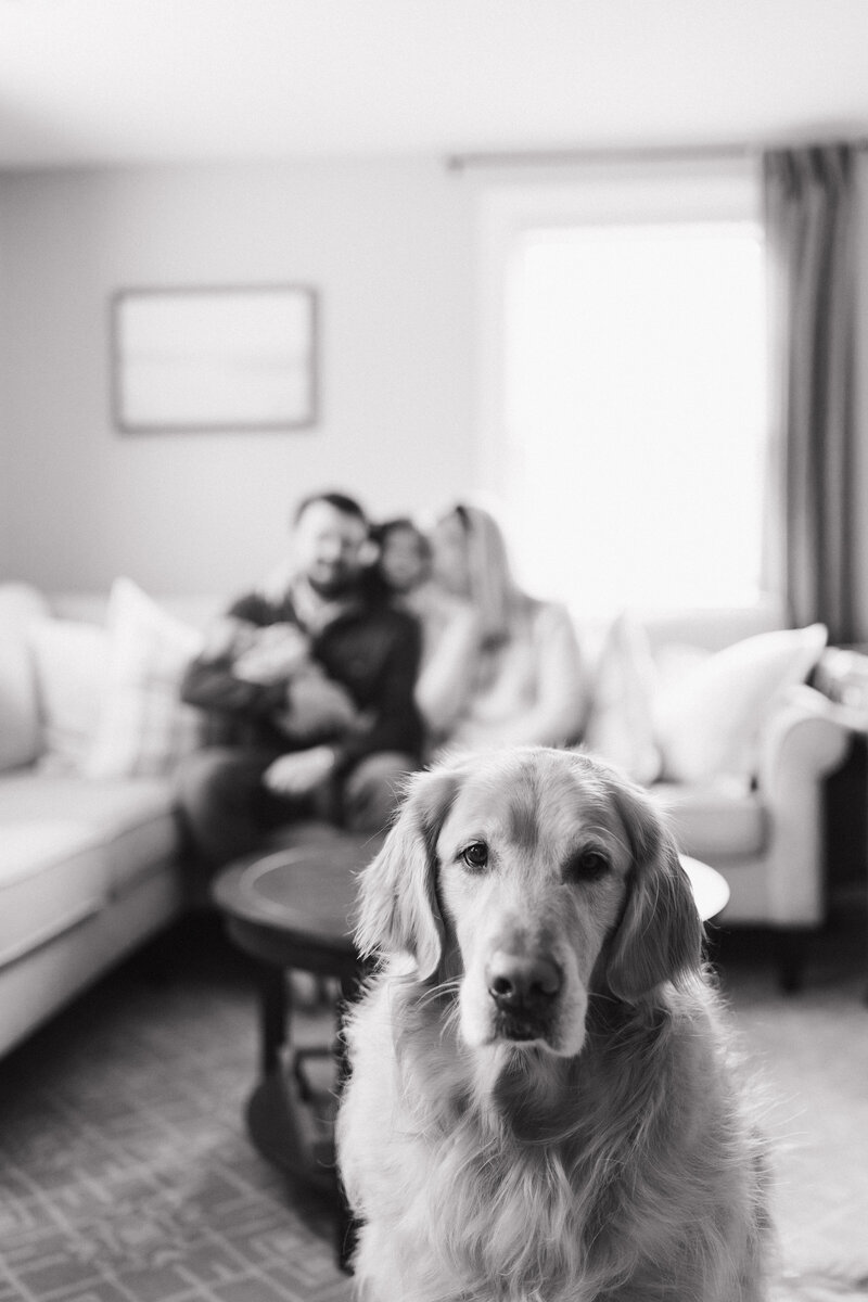 EmilyMcCaffertyPhotography_MilesNewborn-79