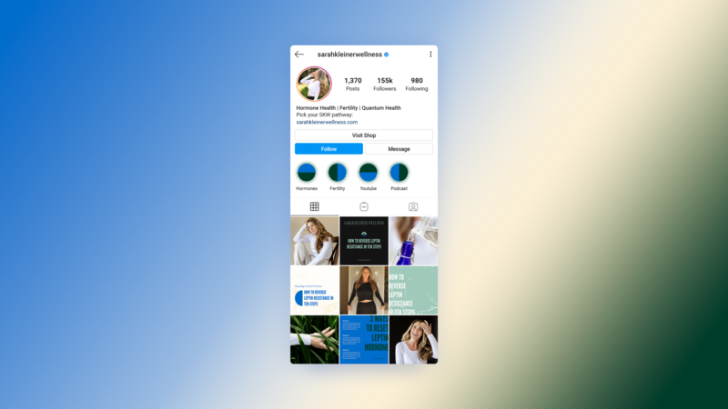 SKW Rebrand IG Mobile Mockup