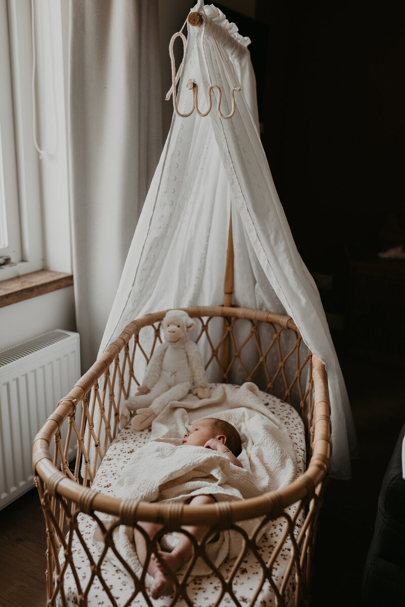 Newborn Liv-8