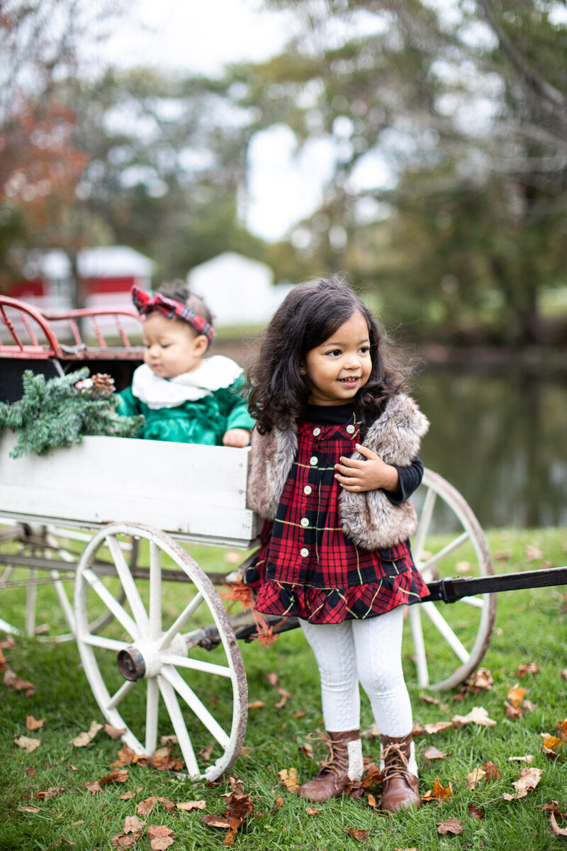 Christmas Mini session Photographer Syracuse New York; BLOOM by Blush Wood (3 of 6)