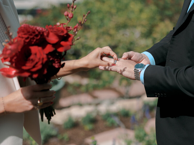A group of people in a backyard garden at a wedding ceremony with bride and groom