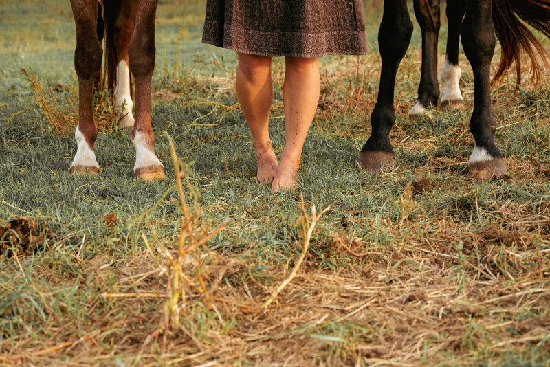 barefoot horses and person