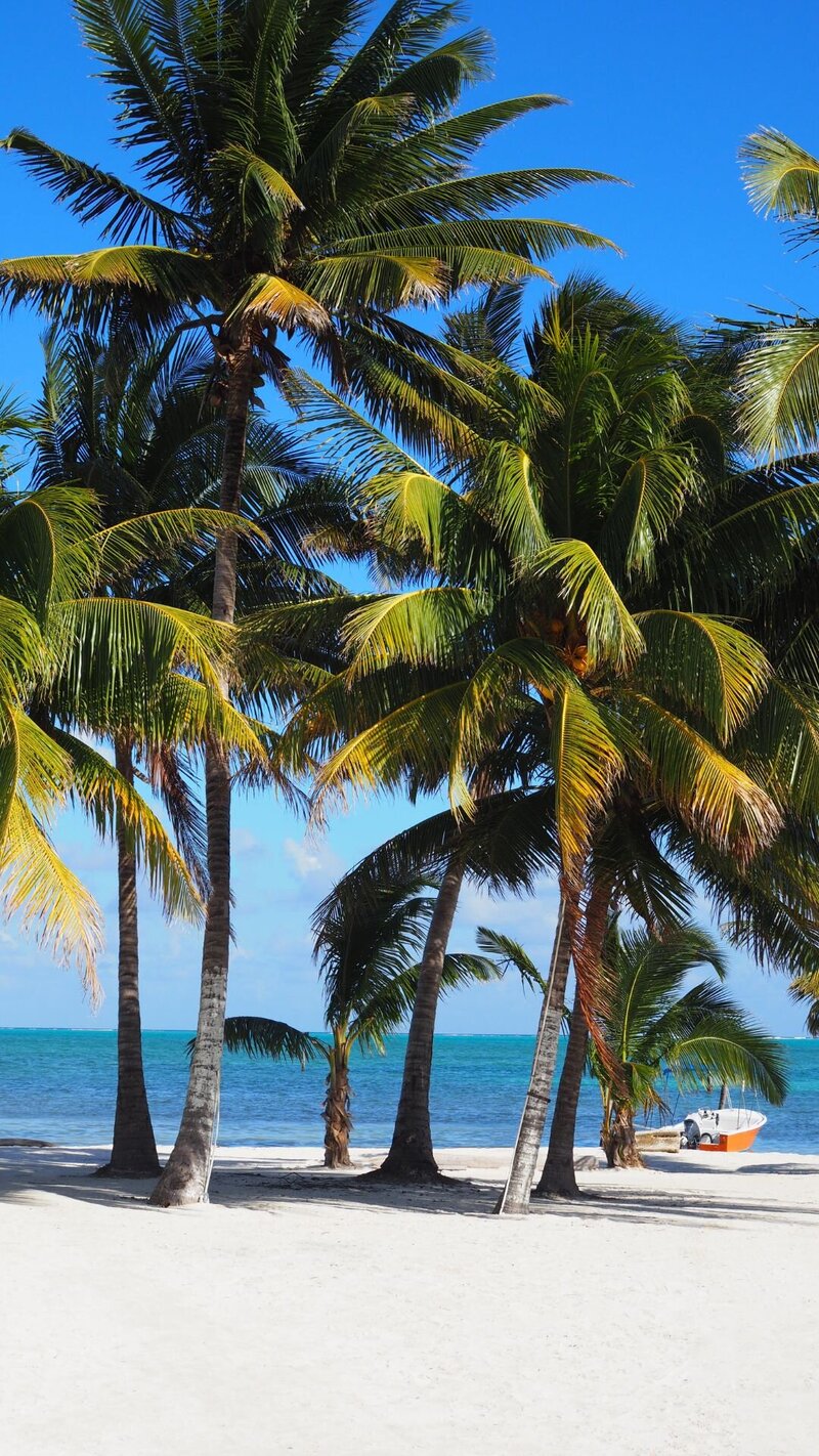 single-parent-trip-belize-view-3
