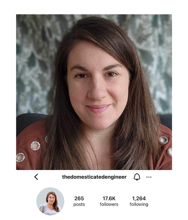 Andrea's Instagram profile, thedomesticatedengineer, 17.6K followers