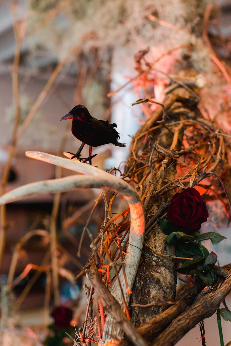 The-Grange-Community-Kitchen-Hamburg-NY-Halloween-Party-Buffalo-Bills-40