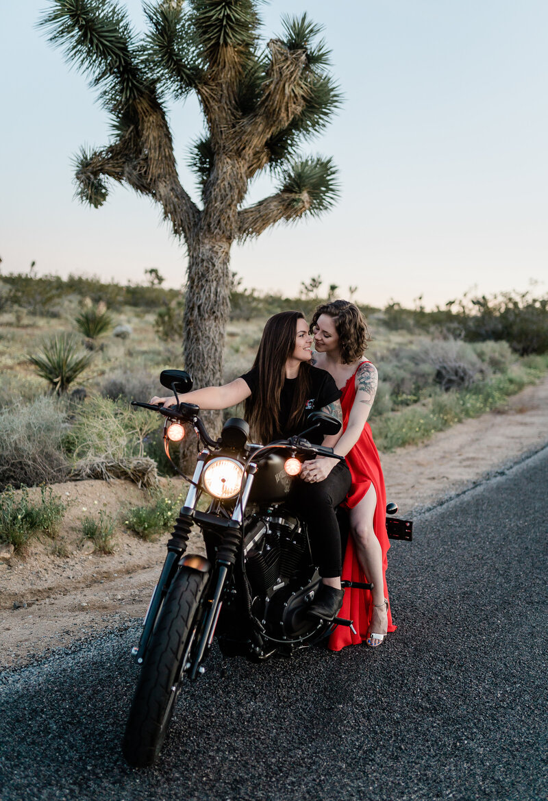 Joshua Tree California Wedding Photography and Film