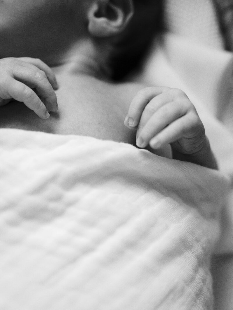 A close-up of a baby's hands while the baby is swaddled during a Richmond newborn photography session by Katie Stansfield Photography.