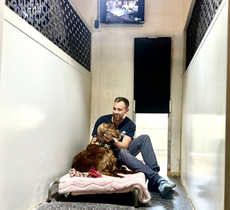 Paradise Pet Retreat Dog Kennel