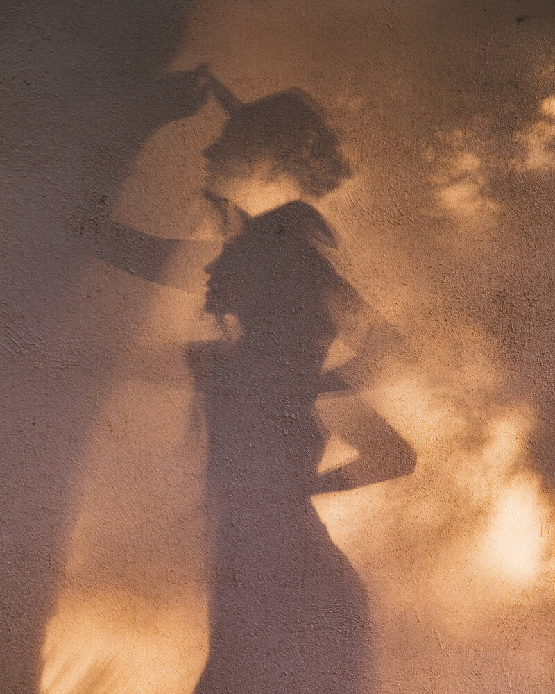 Shadow 6-1_websize