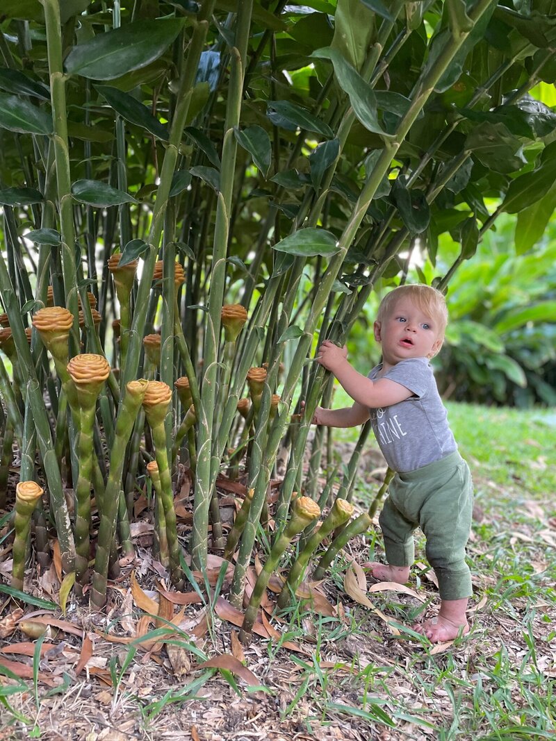 Beehive ginger and baby