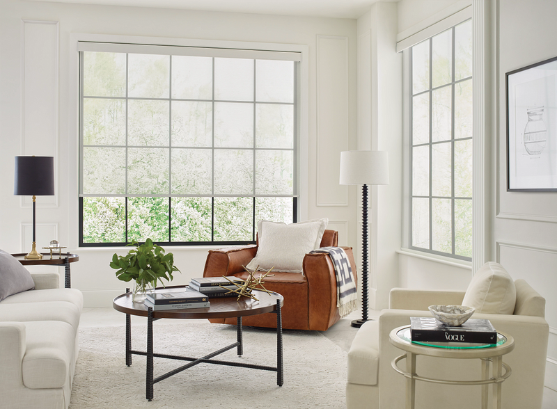 Living space window blinds