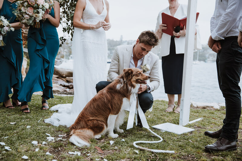 waterfront-wedding-the-spit-mossman-64