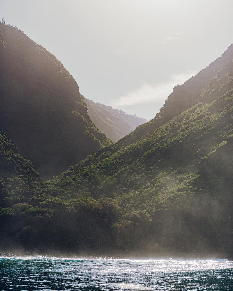 Newsletter de Laetitia Beysang, dédiée à la naturopathie et au bien-être