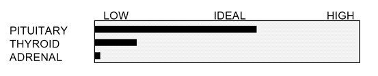 P.A.T.-INDEX-EX-1