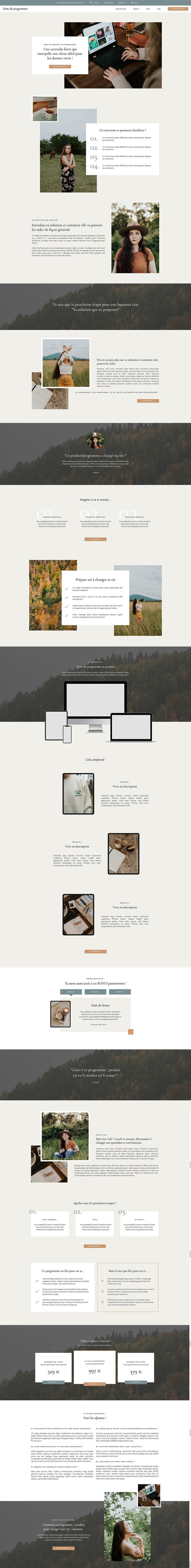 Capture d'écran du template de site Internet Showit Ash
