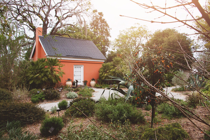 Garden Design Classes Online
